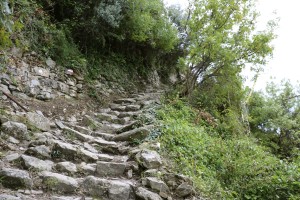 steep hiking trail    